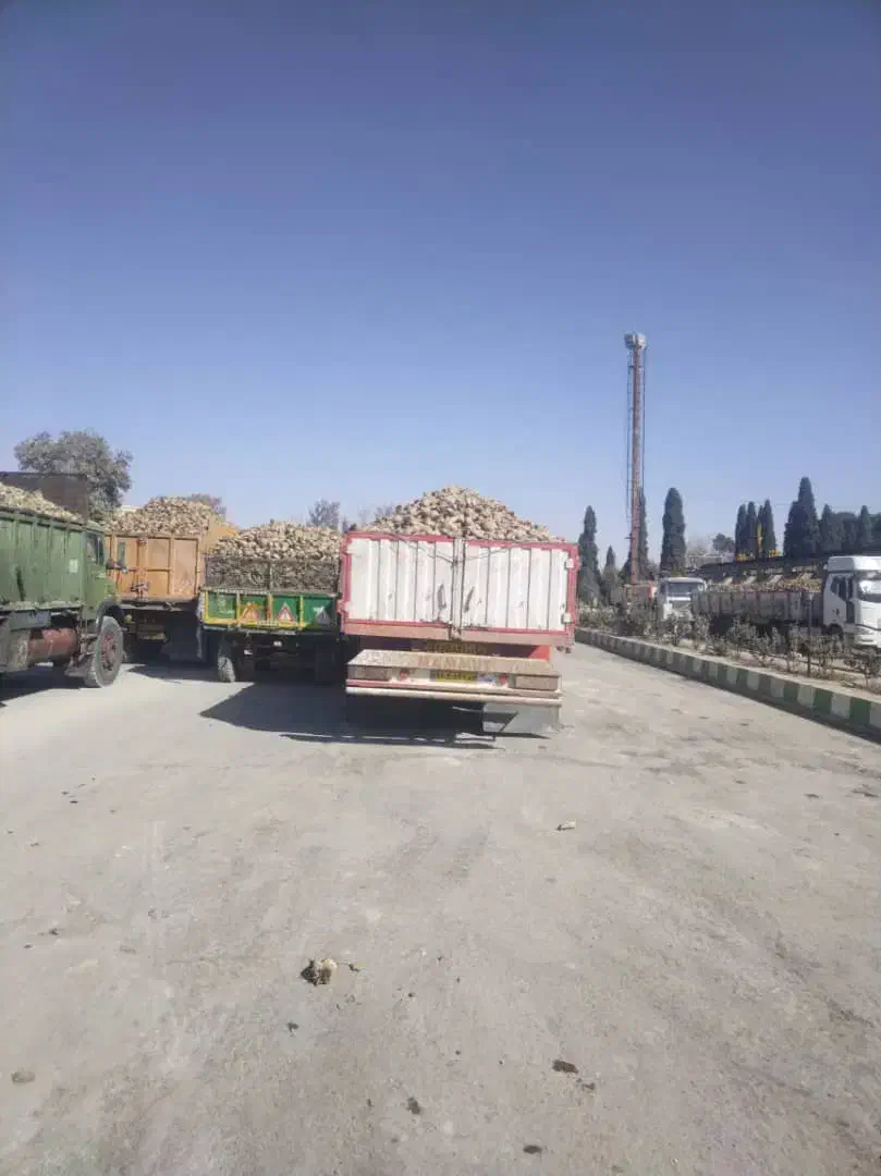 تریلی لبه دار دو محور شهرضایی|قطعات یدکی و لوازم جانبی|پاسارگاد, |دیوار