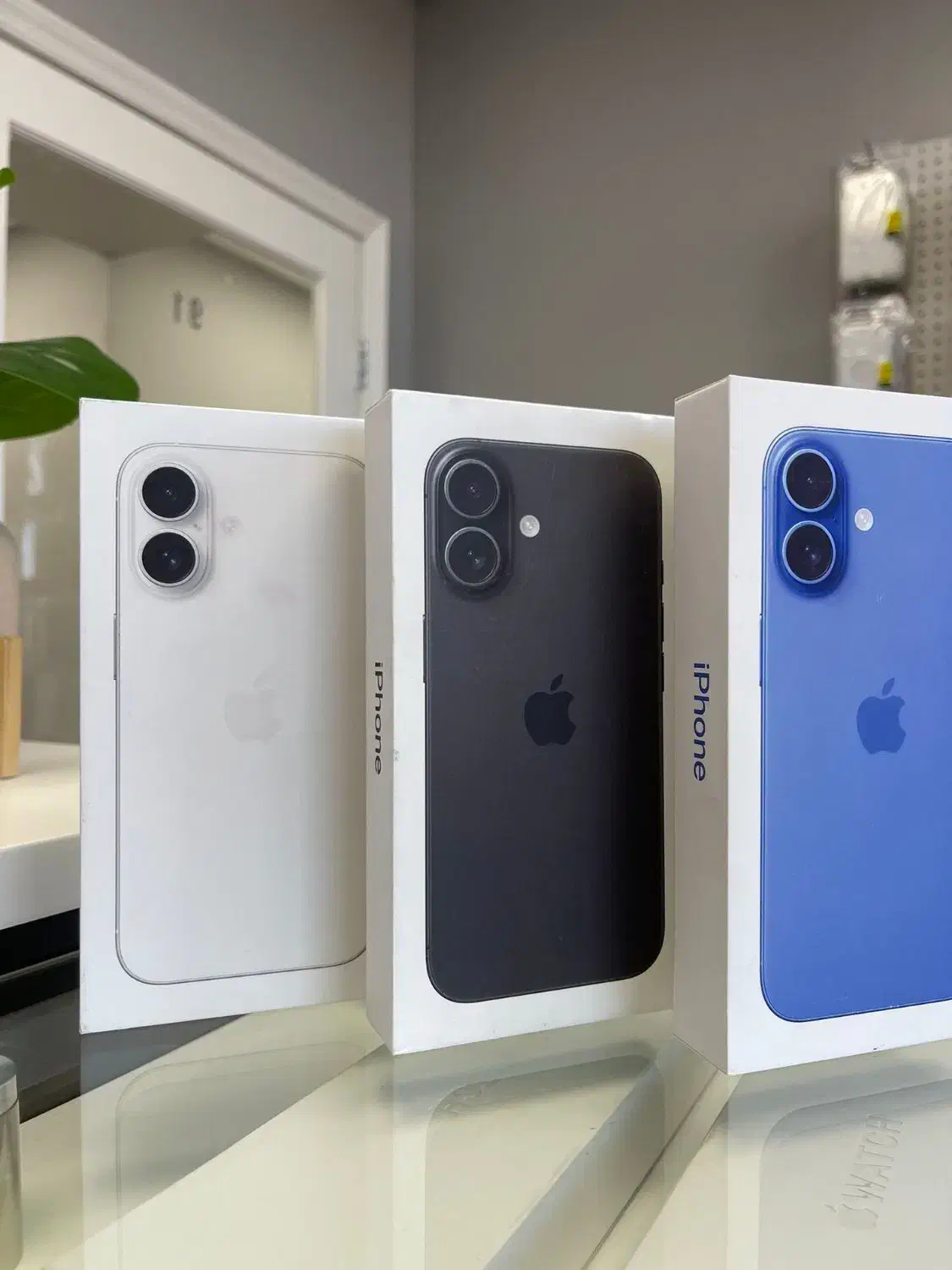 آیفون 16 نرمال(قسطی با چک)|موبایل|زاهدان, |دیوار