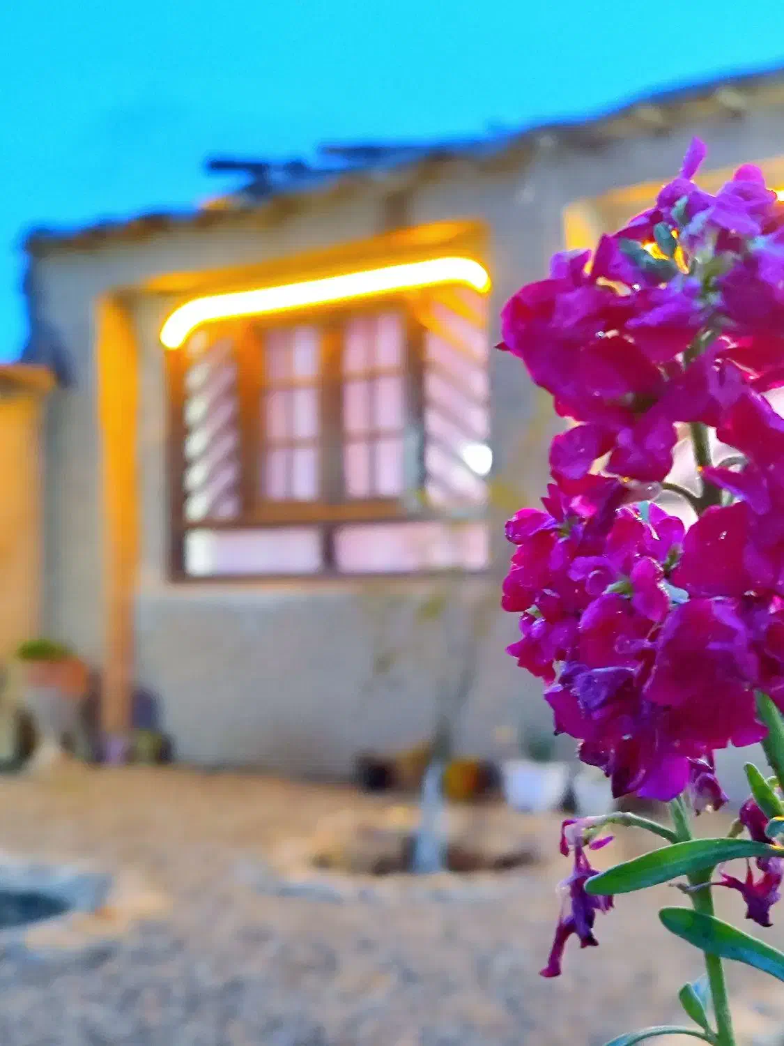 اجاره سوییت  خونه باغ سنتی اقامتگاه|اجارهٔ کوتاه‌مدت ویلا و باغ|مرودشت, فیروزی|دیوار