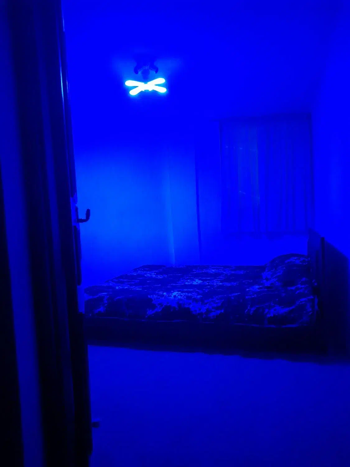 اجاره روزانه و شبانه سوییت آپارتمان (نصف وقت 500)|اجارهٔ کوتاه‌مدت آپارتمان و سوئیت|رشت, تازه آباد|دیوار