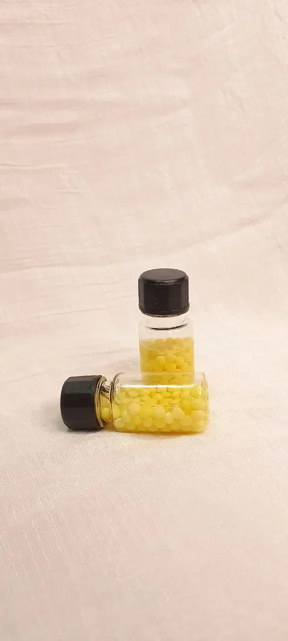 حلزون پرورشی آچاتینا مولد و خاویار حلزون|خزنده|تهران, مسعودیه|دیوار