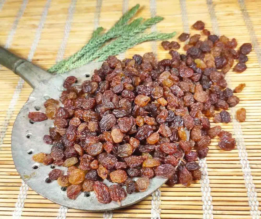 کشمش بی دانه|خوردنی و آشامیدنی|بجنورد, |دیوار