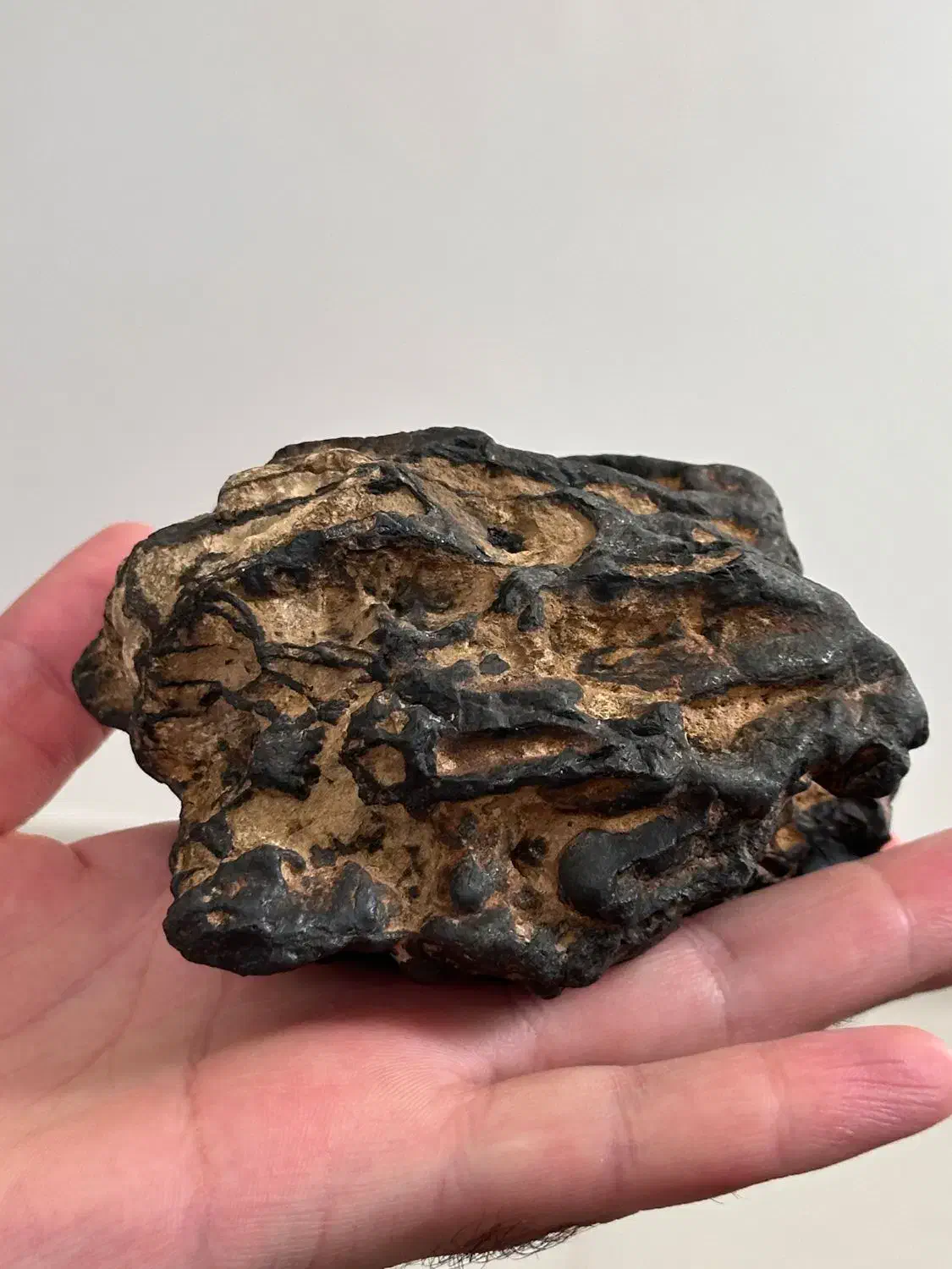 شهاب سنگ|جواهرات|سنندج, |دیوار