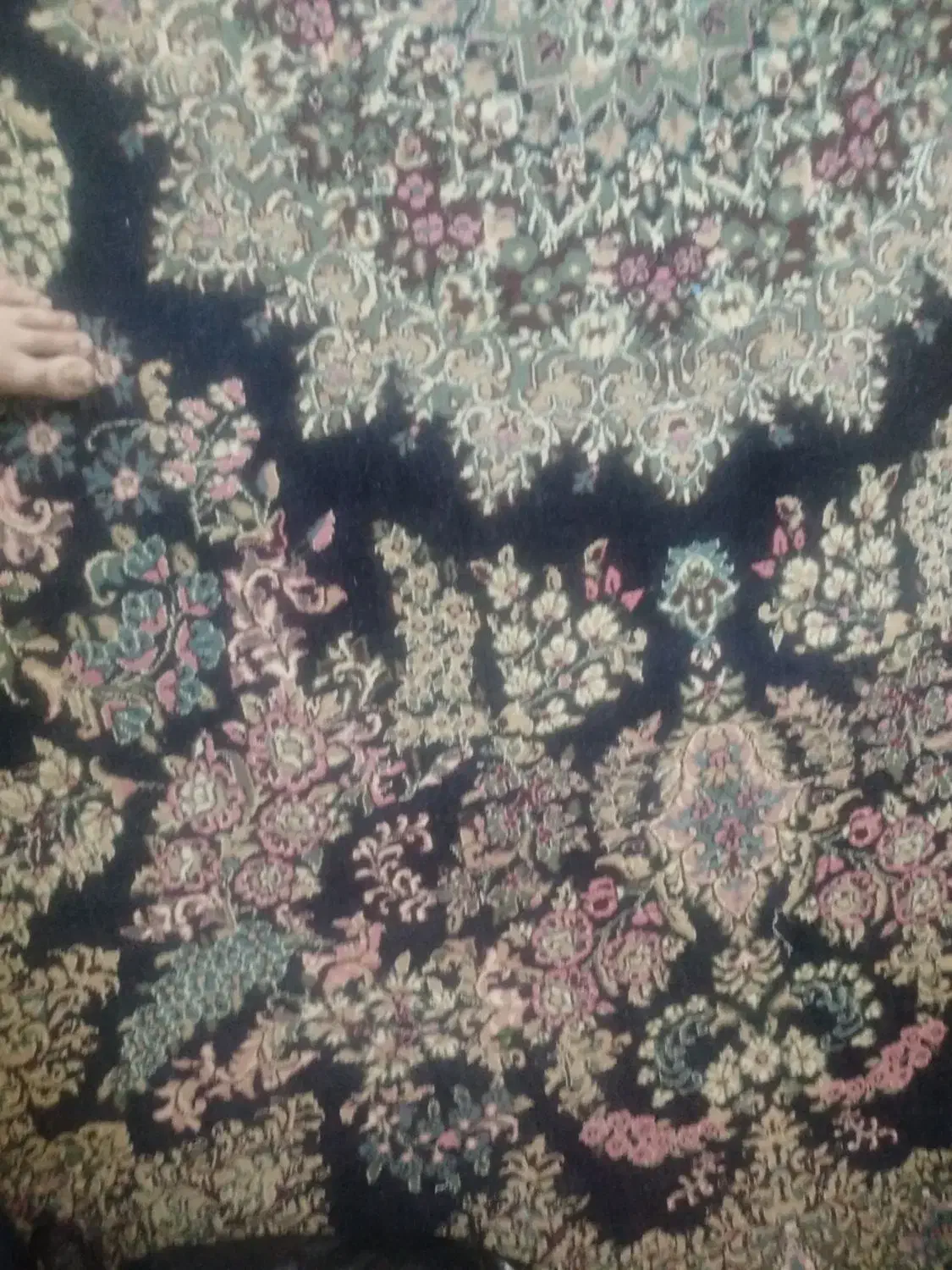 قالی 12متری|فرش|بم, |دیوار