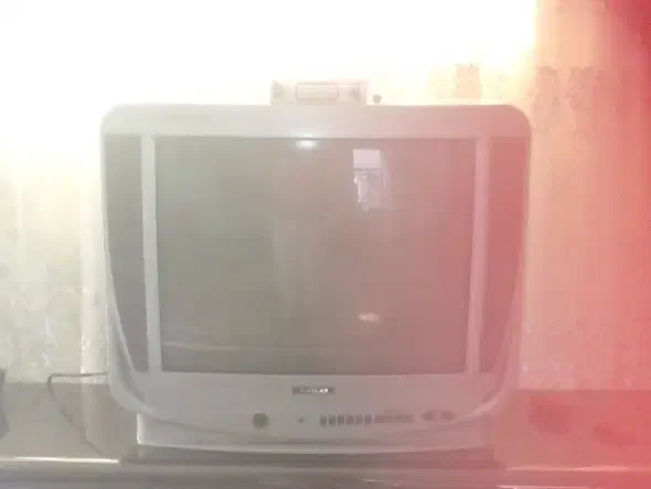 تلوییون|تلویزیون و پروژکتور|مشهد, خواجه ربیع|دیوار