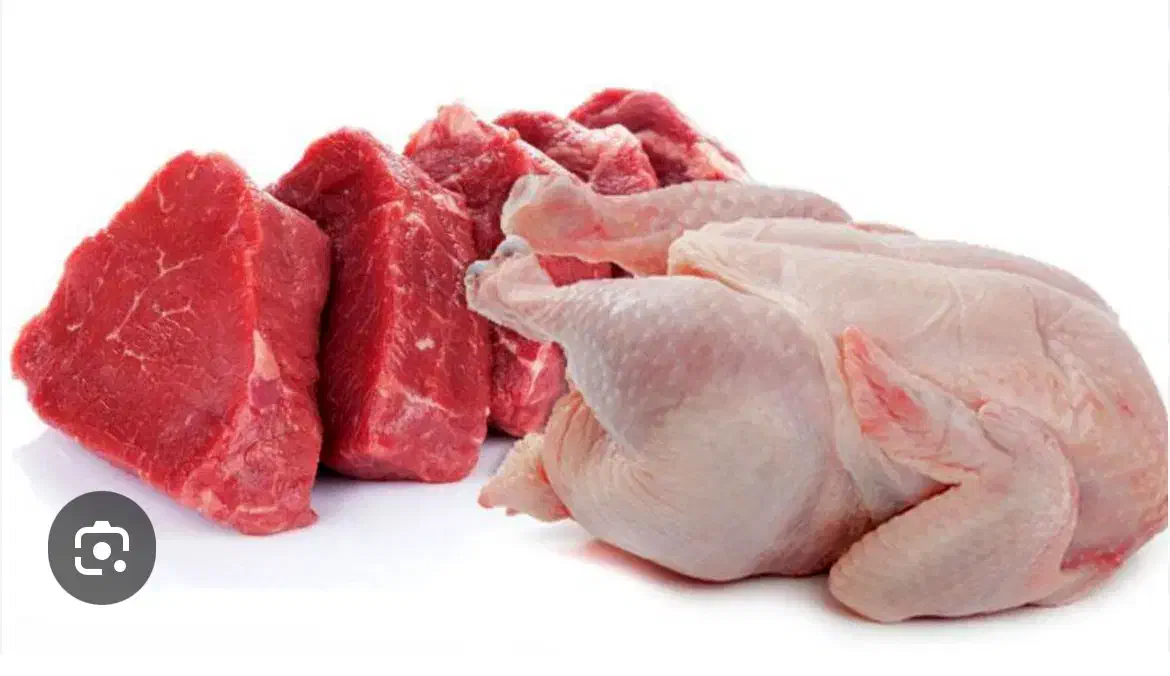 سرمایه گذار در زمینه تولید و پخش مواد پروتئینی|خدمات مالی، حسابداری، بیمه|رشت, کوی غلام نیا|دیوار