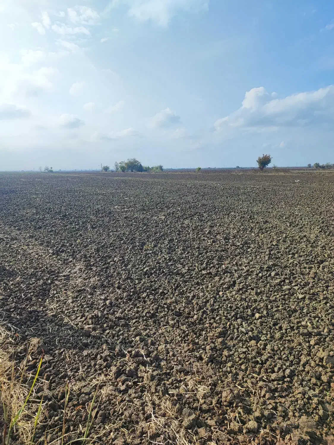 فروش 6هکتار زمین کشاورزی در خان ببین|فروش زمین و ملک کلنگی|خان ببین, |دیوار