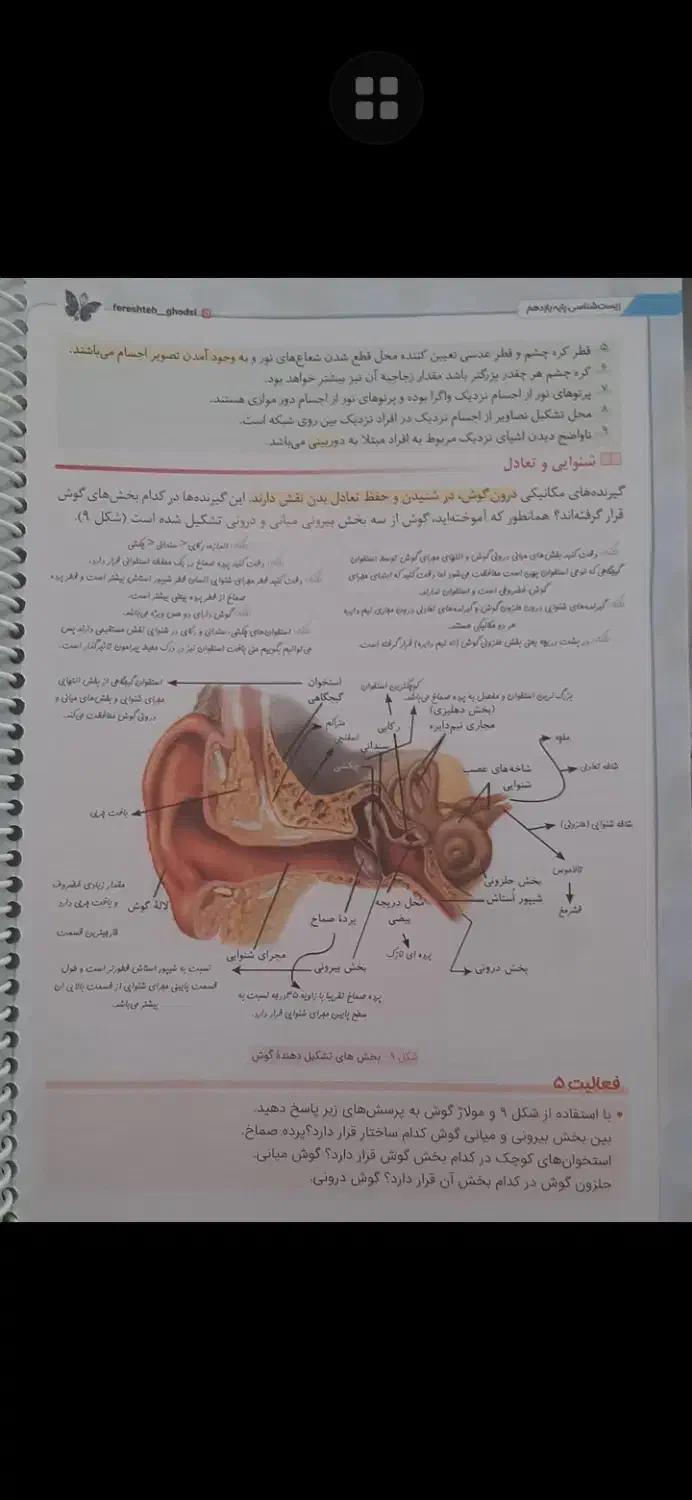 کتاب تست|کتاب و مجله آموزشی|رشت, باهنر|دیوار