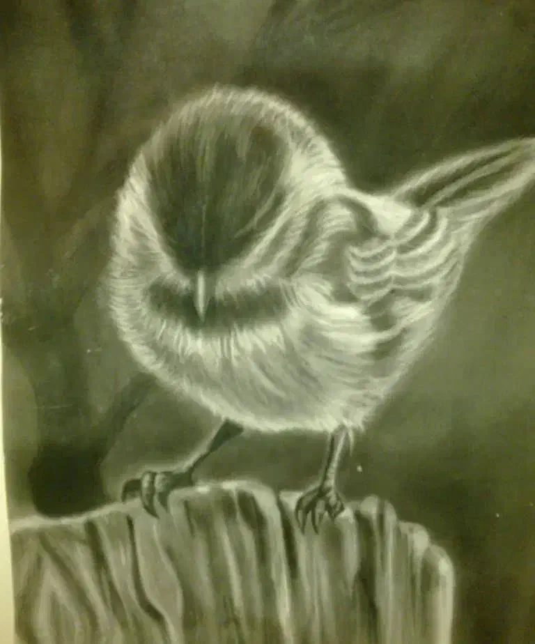 تابلوهای  نقاشی|تابلو، نقاشی، عکس|تهران, فلاح|دیوار