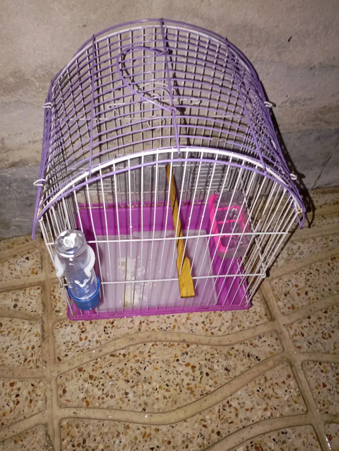 قفس بدون پرنده|لوازم جانبی حیوانات|بهارستان, |دیوار