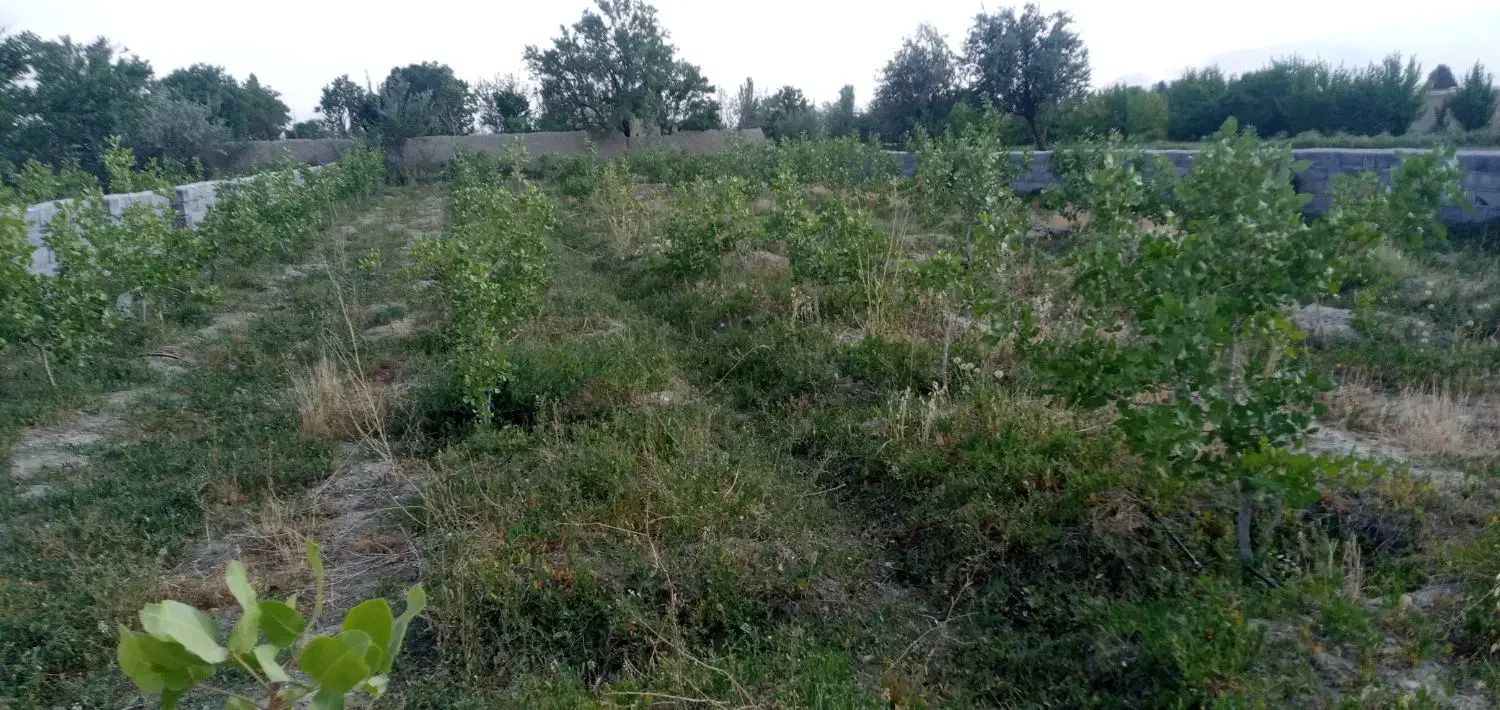 زمین سند تک برگ شش دانگ مسکونی ۸۵۵ متر|فروش زمین و ملک کلنگی|گلپایگان, |دیوار