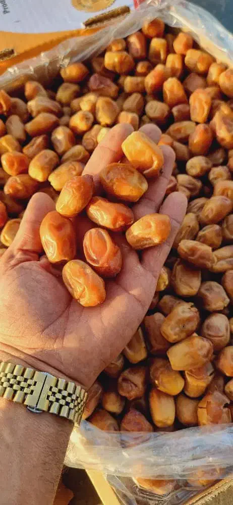 فروش خرما زاهدی و خاسوییو هلیله ای|خوردنی و آشامیدنی|قیروکارزین, |دیوار