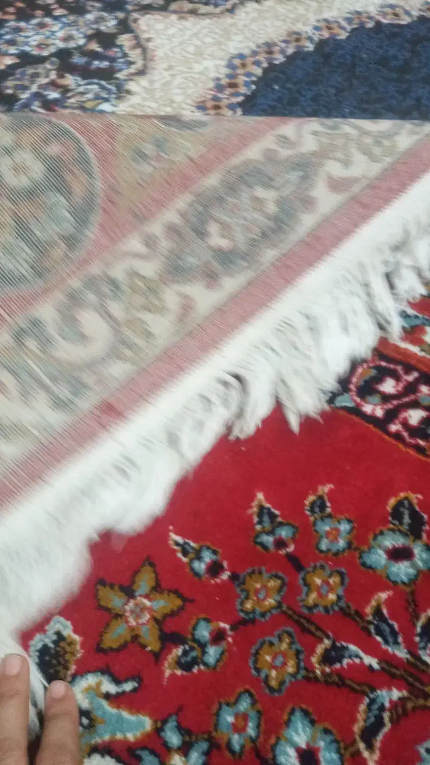 فرش ۶متری محکم و تمیز|فرش|فسا, |دیوار