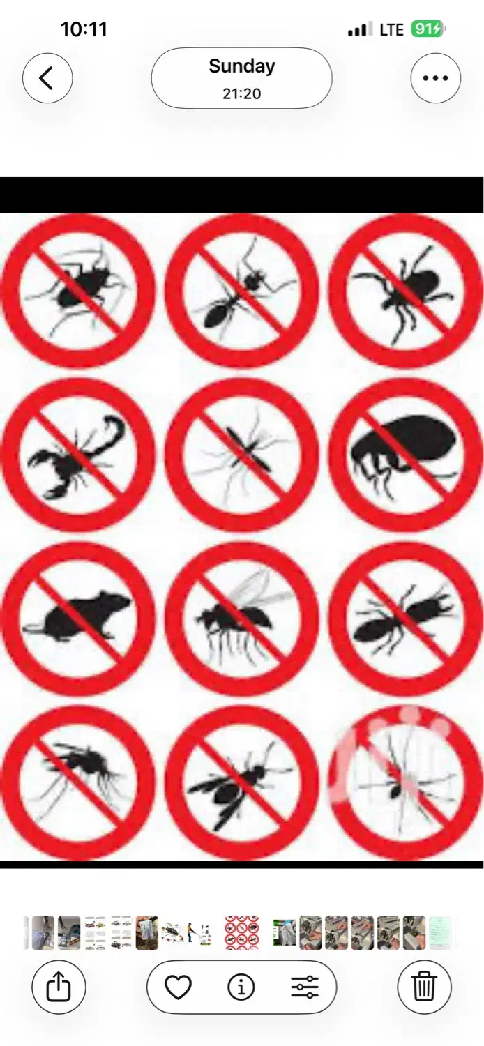 سمپاشی و موریانه زدایی ضمانتی (فروشگاه دشت بهشت )|خدمات نظافت|خرمآباد, |دیوار