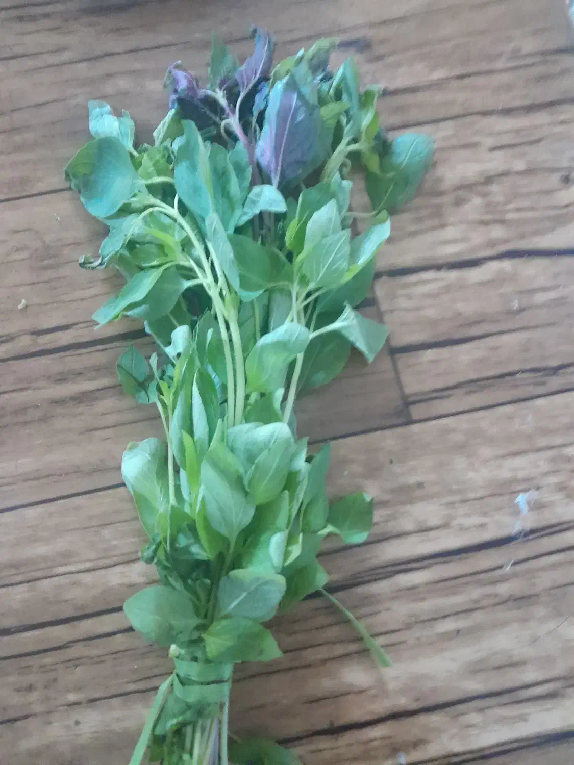 استخدام|استخدام بازاریابی و فروش|اصفهان, لیمجیر|دیوار