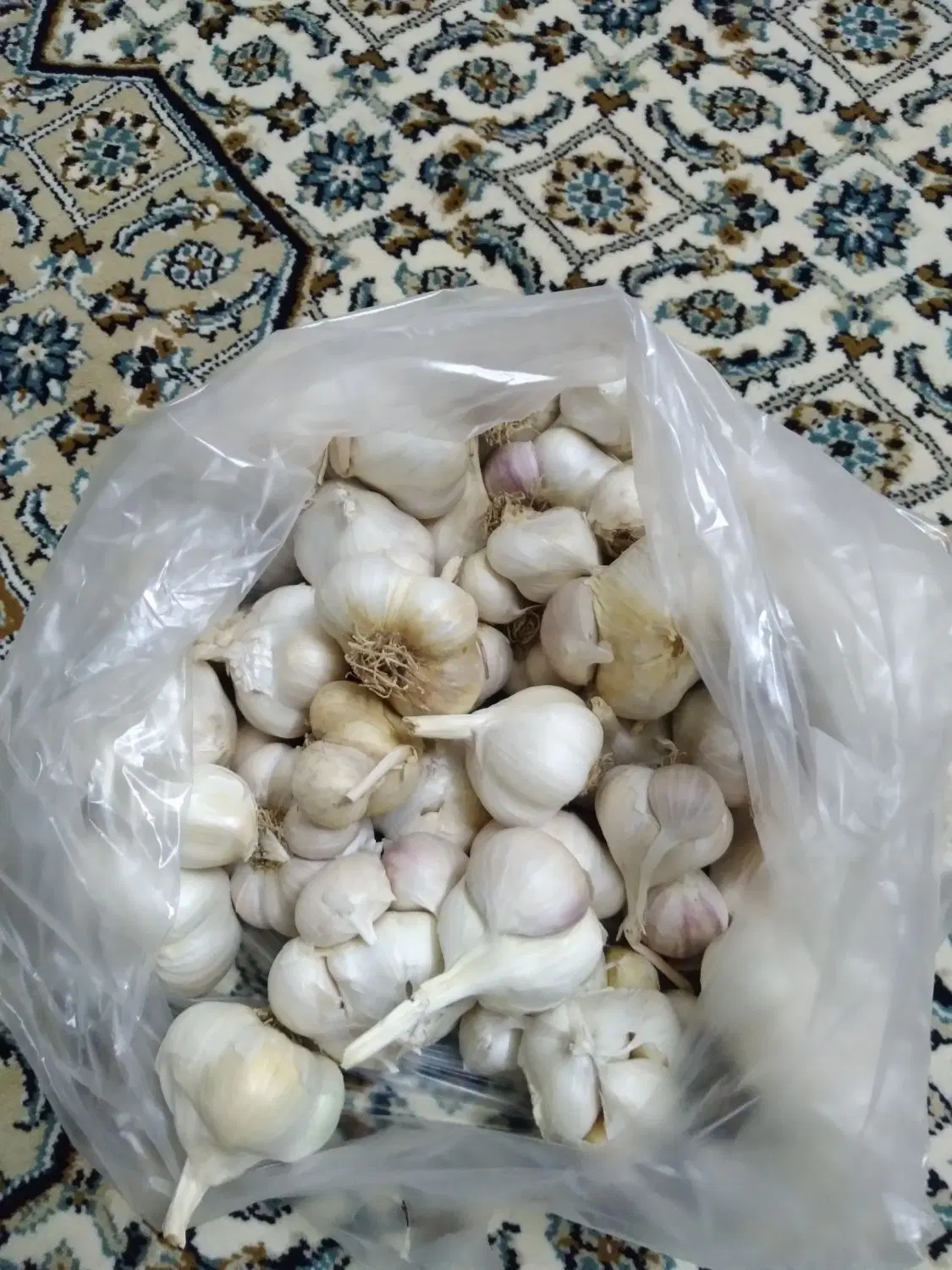 با سلام سیر همدان با کیفت عالی برای فروش|خوردنی و آشامیدنی|تهران, بنیهاشم|دیوار