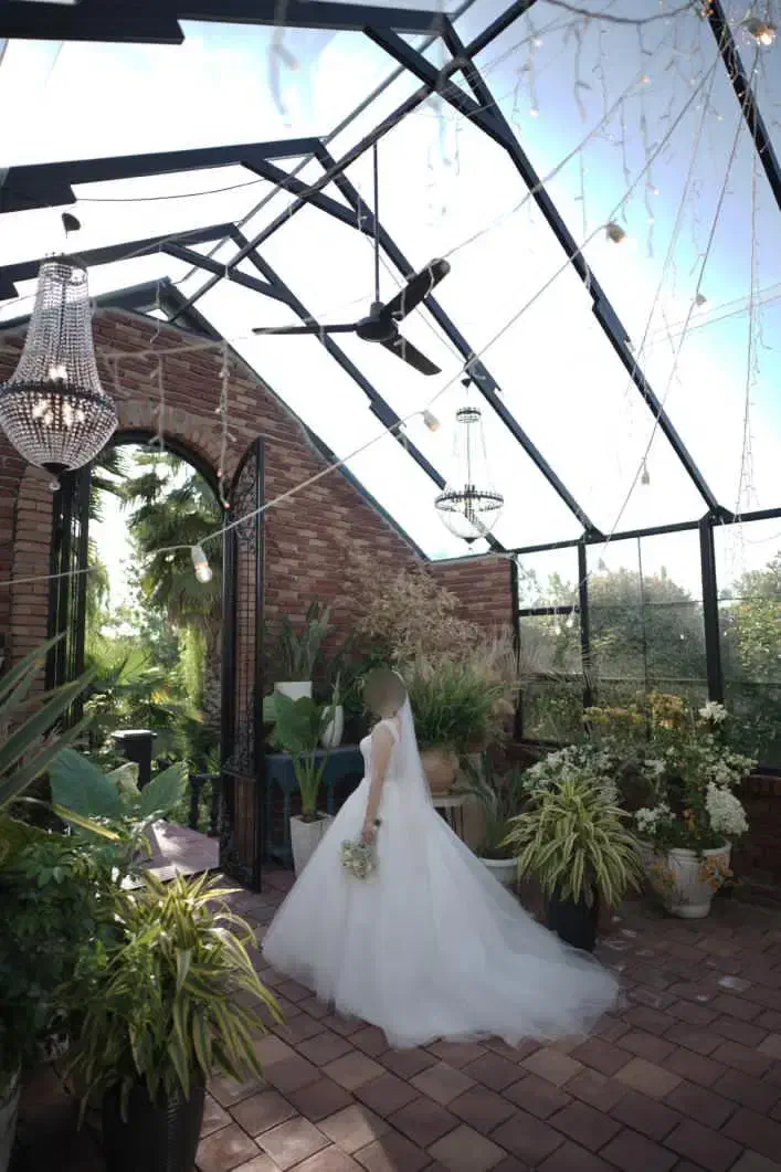 لباس عروس|لباس|رشت, استادسرا|دیوار