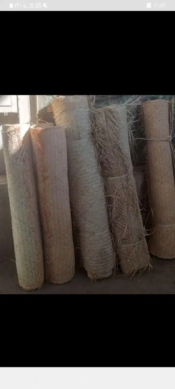 انوع تک حصیری|صنایع دستی و سایر لوازم تزئینی|بندرعباس, |دیوار