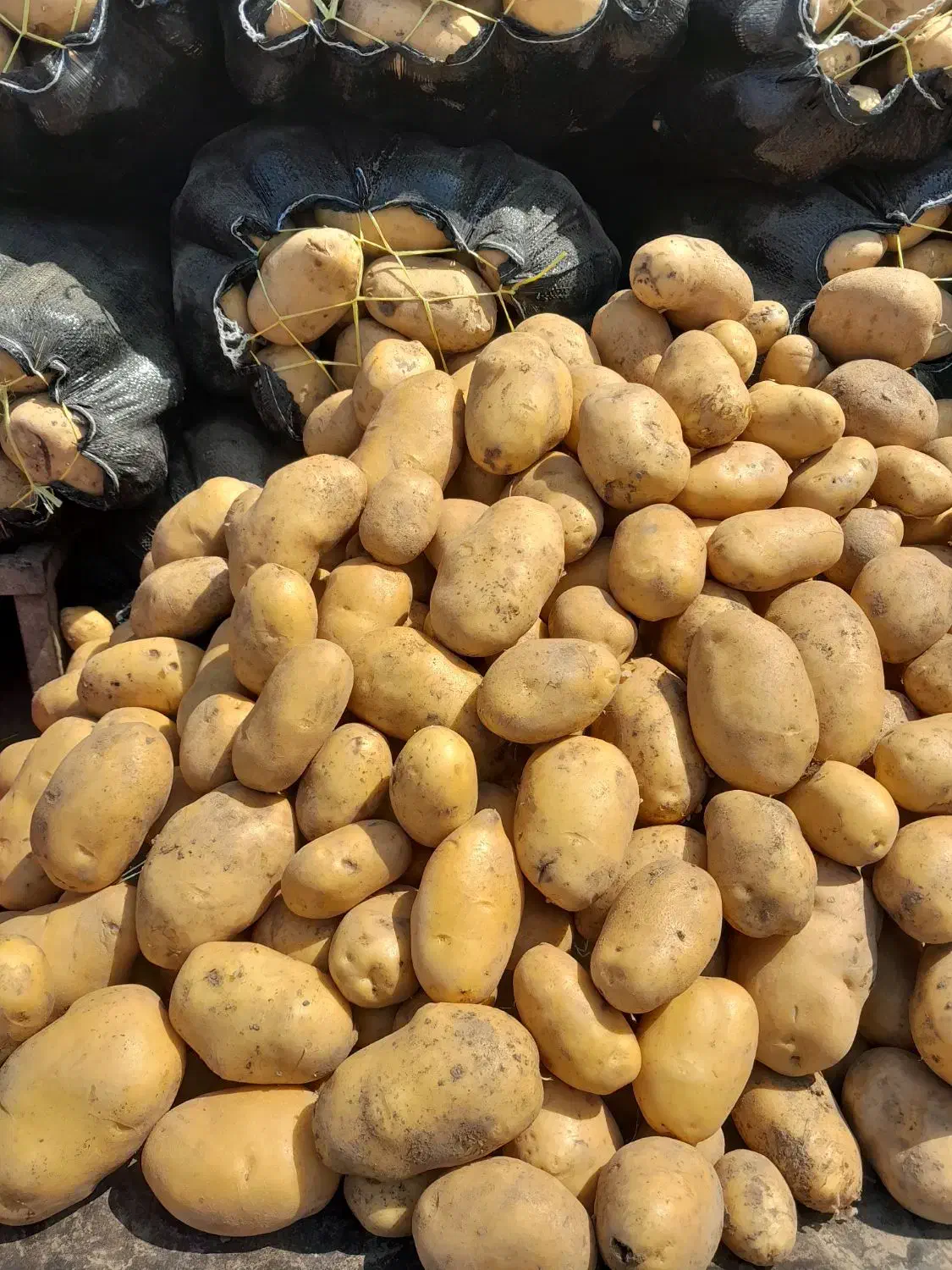 نگهبان شب|استخدام بازاریابی و فروش|رشت, شهرک قدس|دیوار