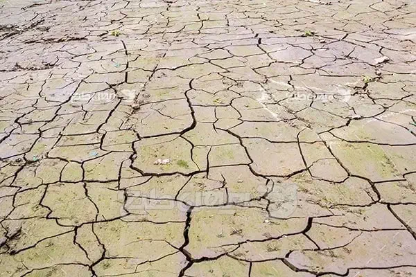 زمین چاه جهاد (دشتخون)|فروش زمین و ملک کلنگی|بافق, |دیوار