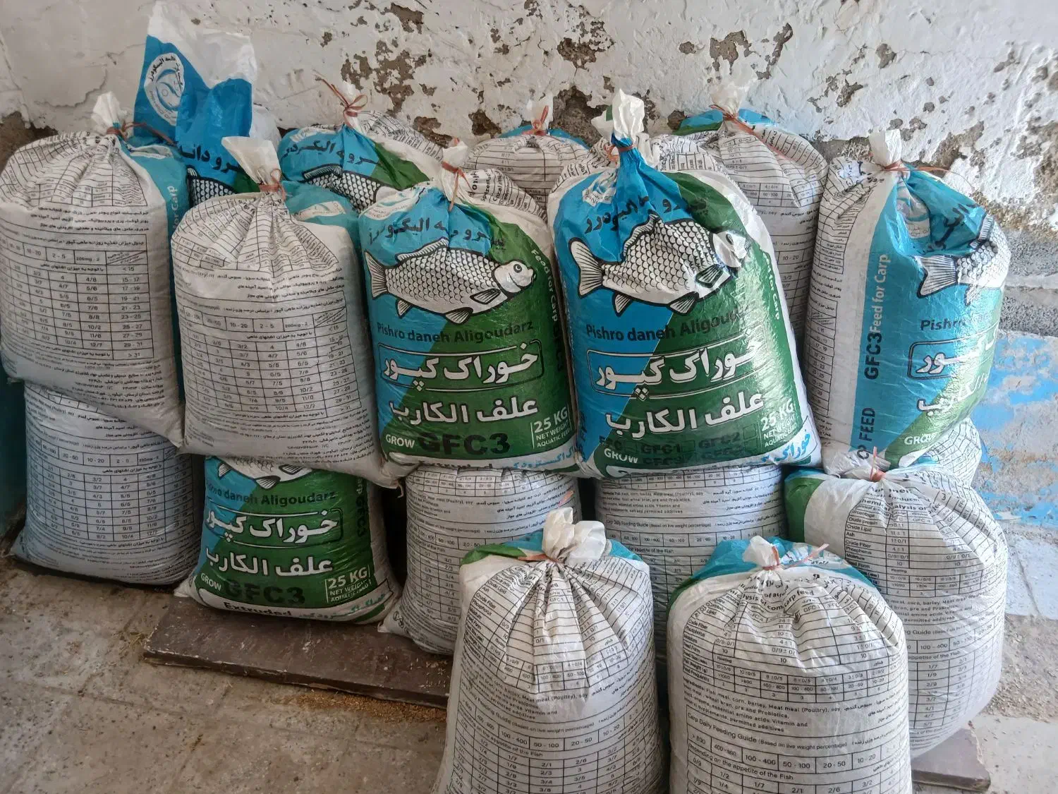 جو محلی|گل و گیاه طبیعی|چمران, |دیوار