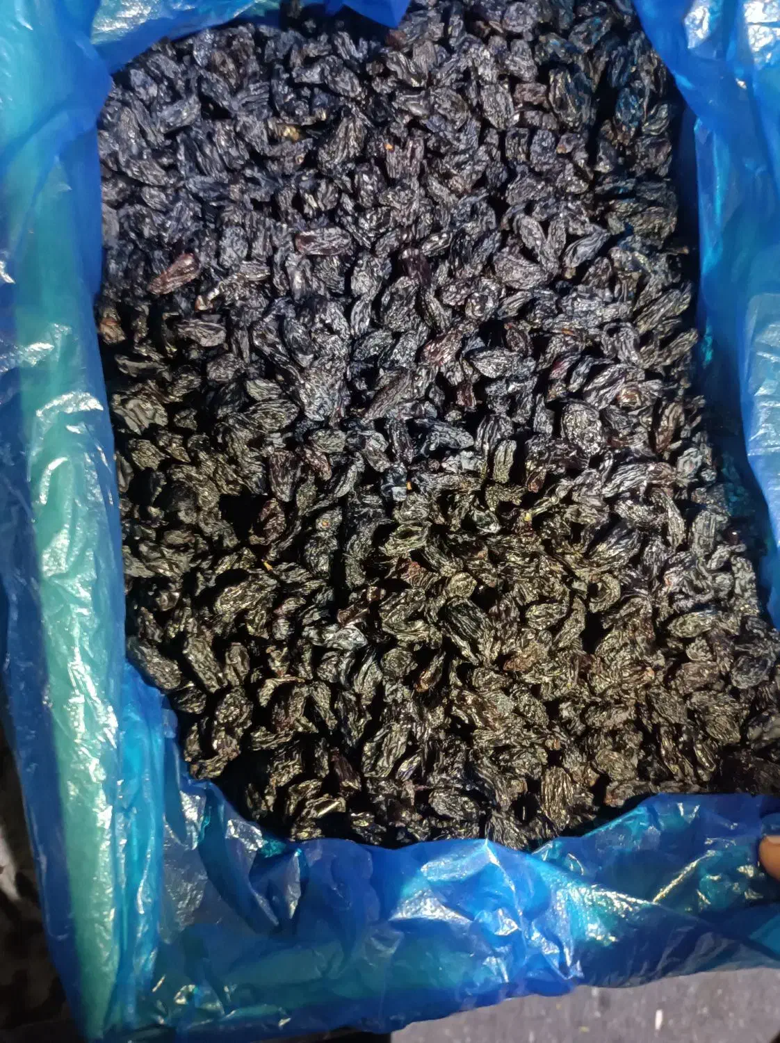 کشمش مویز|خوردنی و آشامیدنی|تبریز, |دیوار