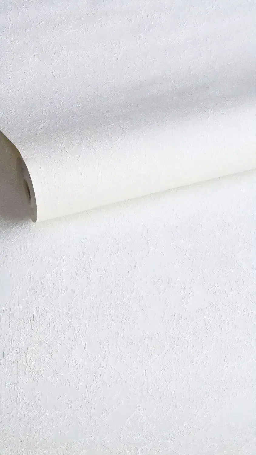 با خرید ۱۰ رول کاغذدیواری ۲ رول از ما هدیه بگیرید|خدمات پیشه و مهارت|کاشان, دانش|دیوار