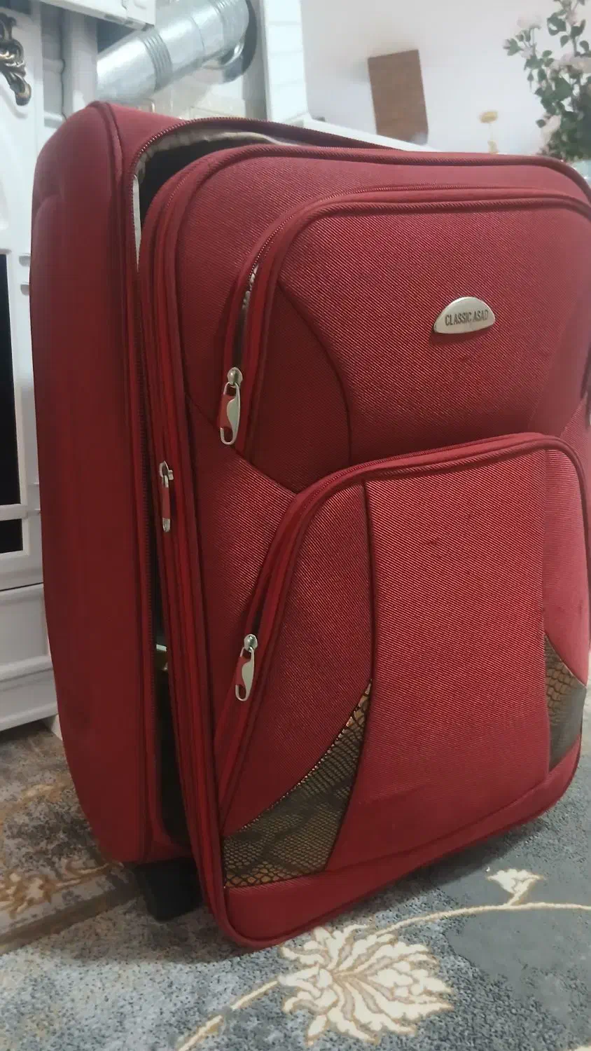 چمدان مسافرتی|کیف، کفش، کمربند|شیراز, انجیره|دیوار