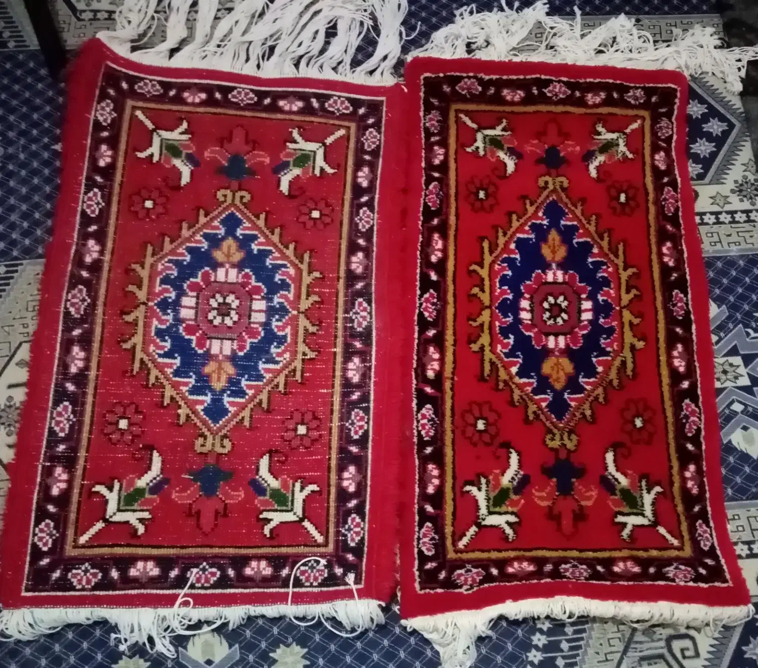 یک جفت فرش پادری دستبافت نو|پادری|تبریز, |دیوار