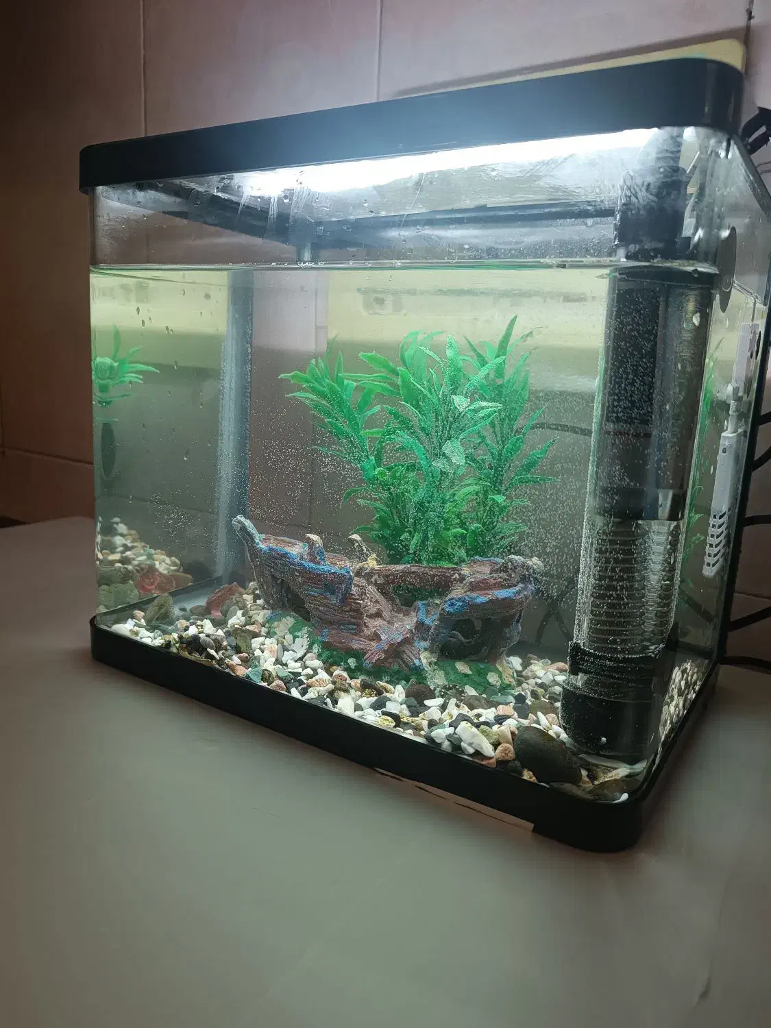 آکواریوم|ماهی|رباطکریم, الارد|دیوار