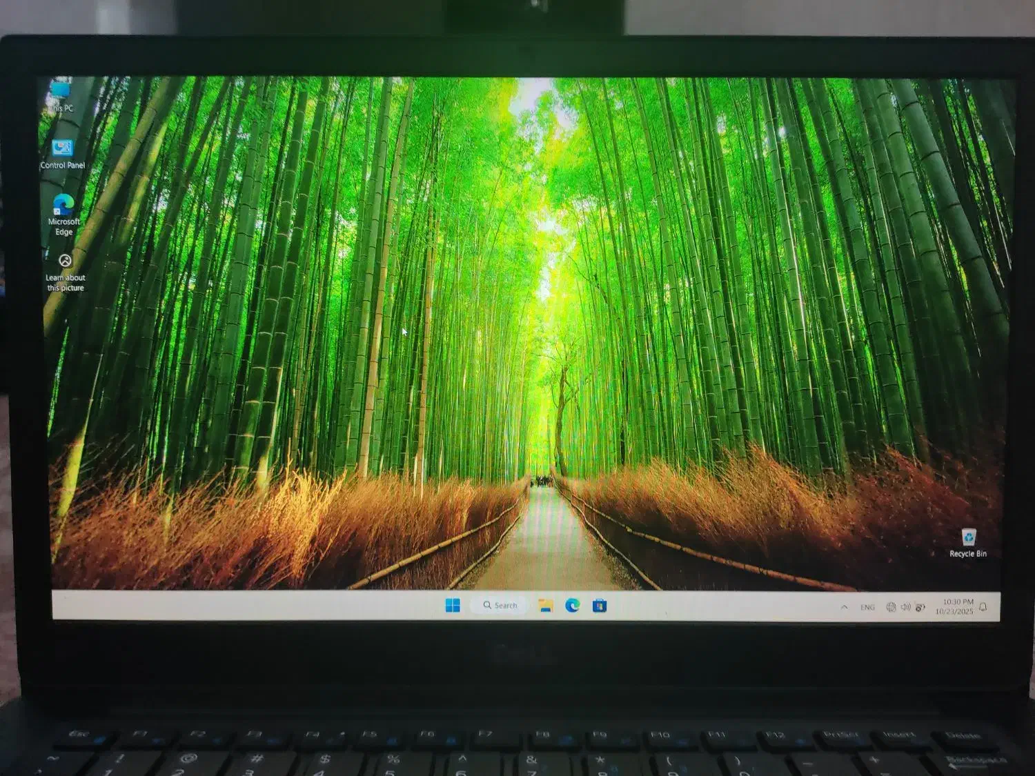 لبتاب دل  ۷۴۹۰  تاچ|رایانه همراه|بندر کنگان, |دیوار