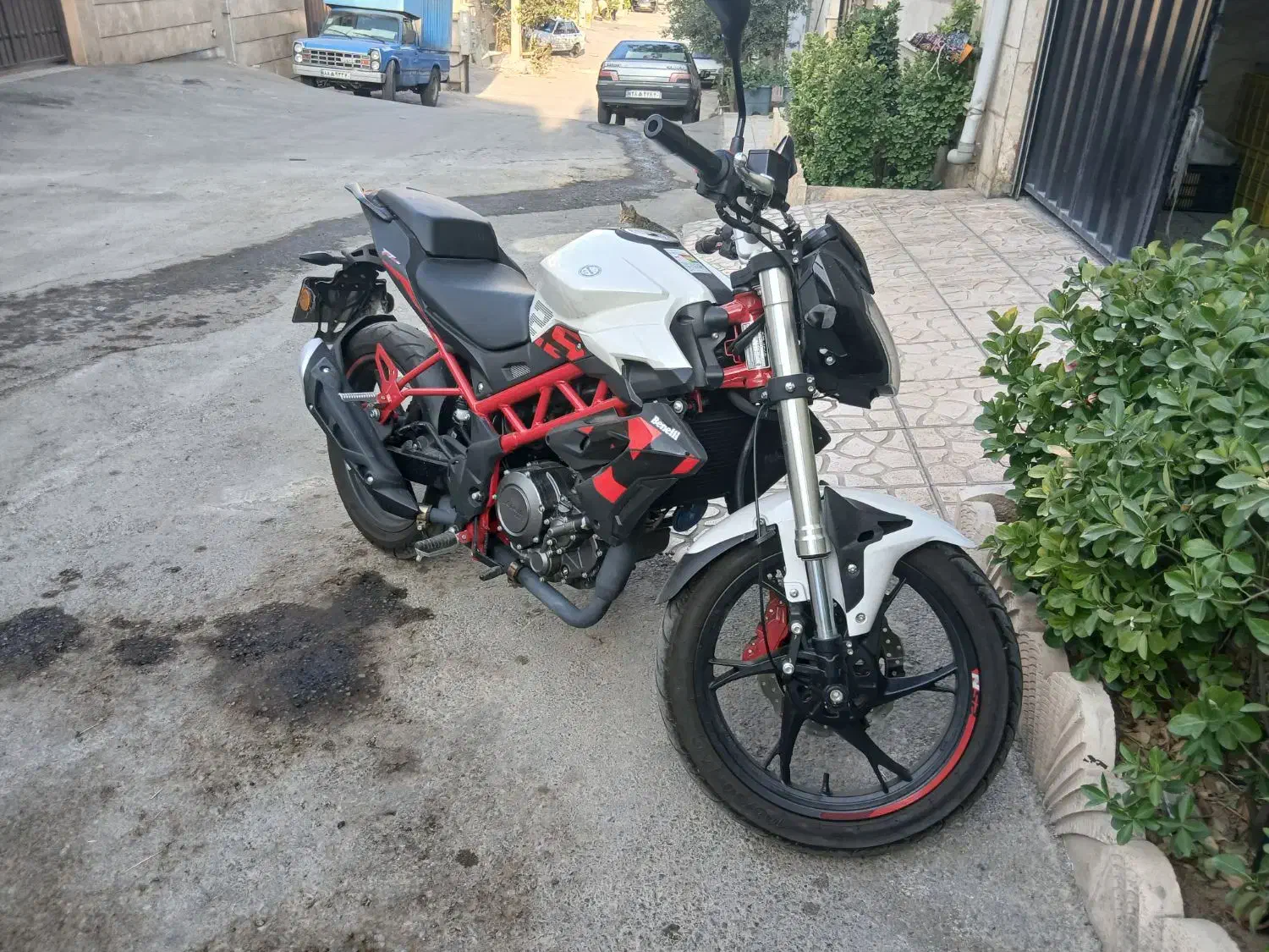 بنلی ۲۵۰ سی سی تک‌سیلندر|موتورسیکلت|پردیس, شهرک صنعتی کمرد|دیوار