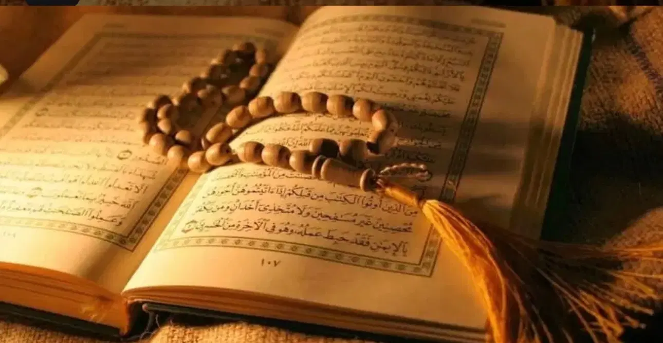 تاروت|کتاب و مجله مذهبی|دورود, |دیوار