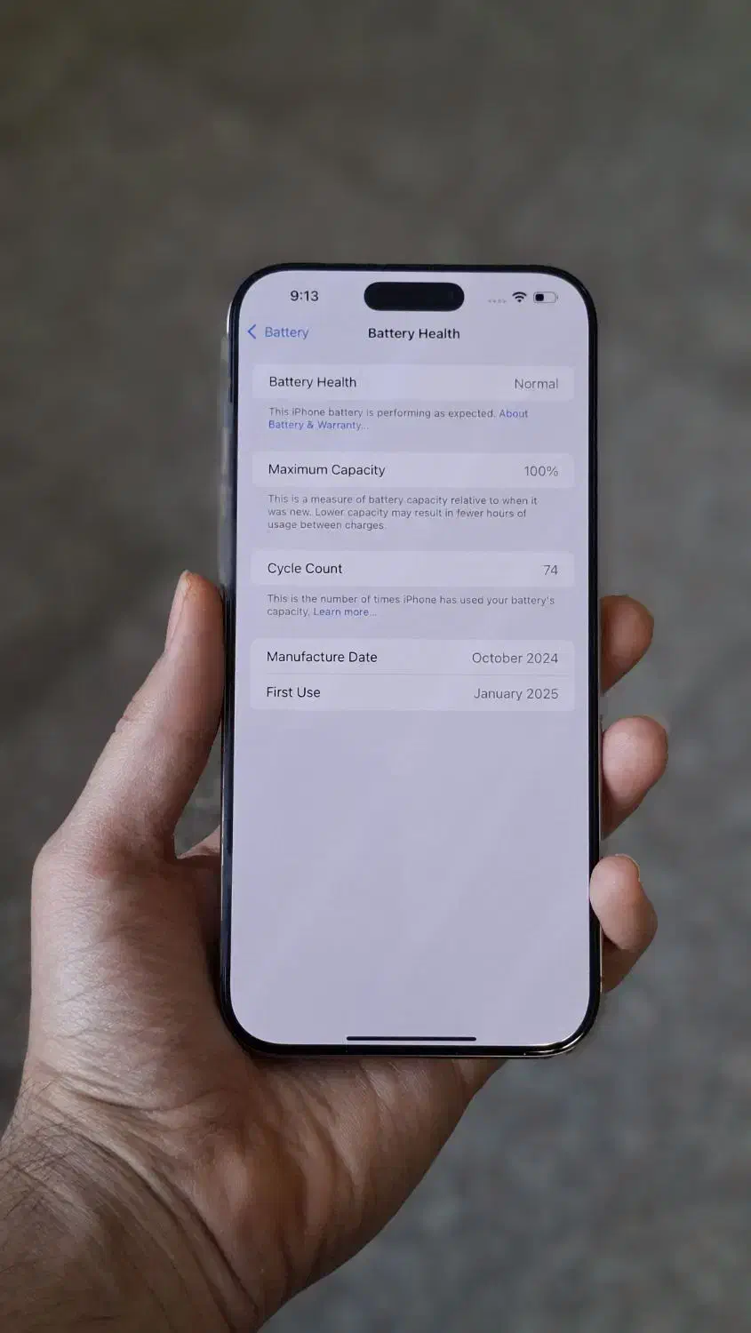iPhone 16 Pro Max 256 Bat100 Cycle 74|موبایل|قم, شاه سید علی|دیوار