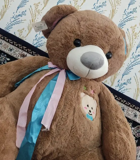 عروسک تدی|اسباب‌‌بازی|تاکستان, |دیوار