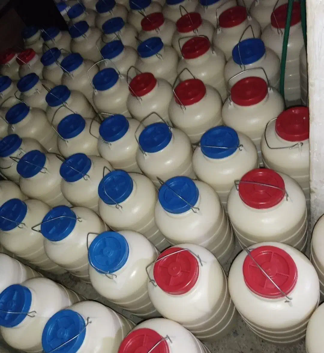 کره گوسفند عمده پخش کلی ‌جزی  ماست چکیده|عمده‌فروشی|مشهد, دوست آباد|دیوار