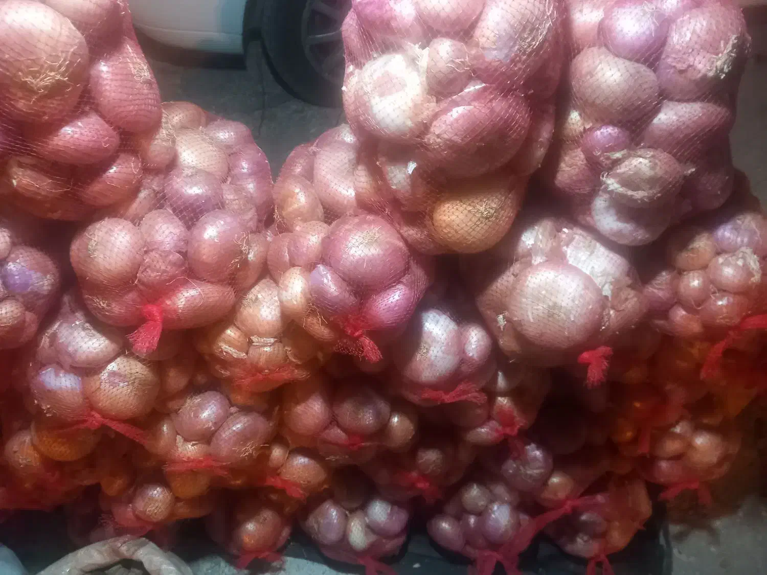 پیاز محلی سپیدان .|حراج|اهرم, |دیوار