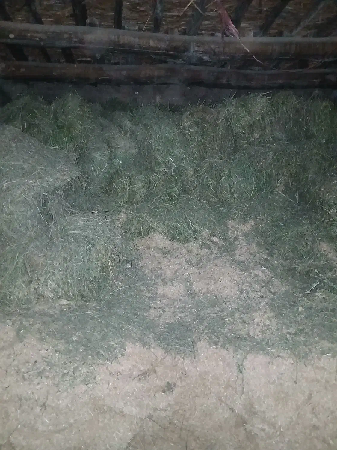 کاه و یونجه|لوازم جانبی حیوانات|ضیاء آباد, |دیوار