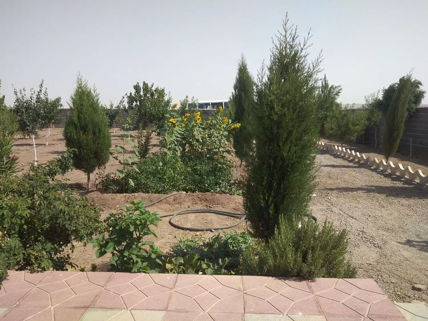 باغ ویلا ۱۱۰۰ متری سند تک برگ|فروش خانه و ویلا|محمدشهر, عباس آباد|دیوار