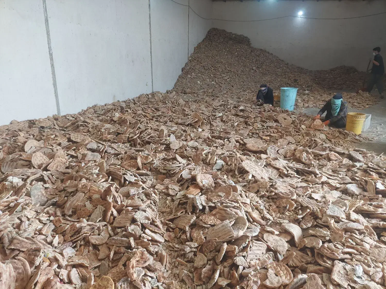 نان خشک|لوازم جانبی حیوانات|مشهد, مهدی آباد|دیوار