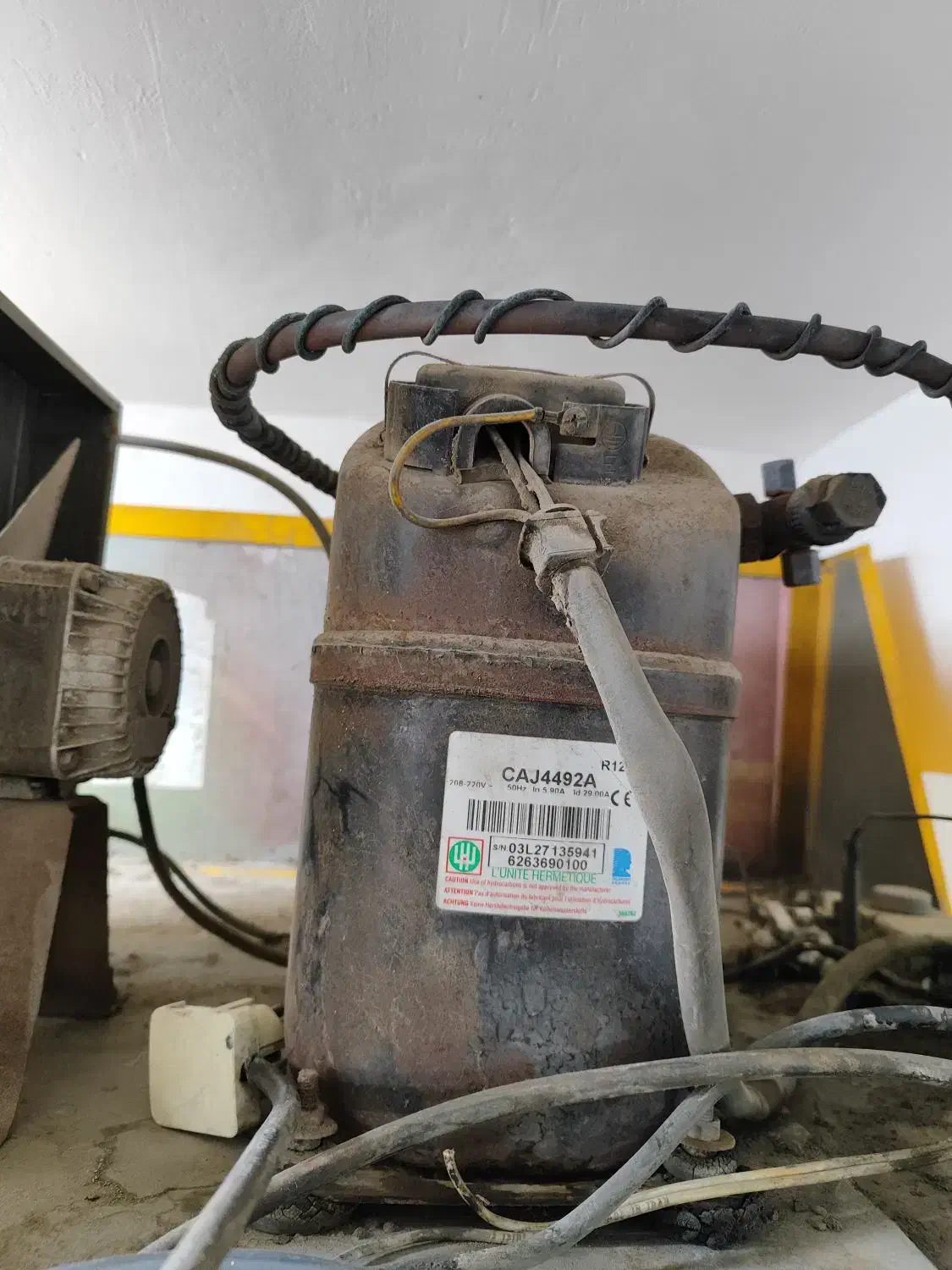 یخچال ویترینی ۶درب|یخچال و فریزر|املش, |دیوار