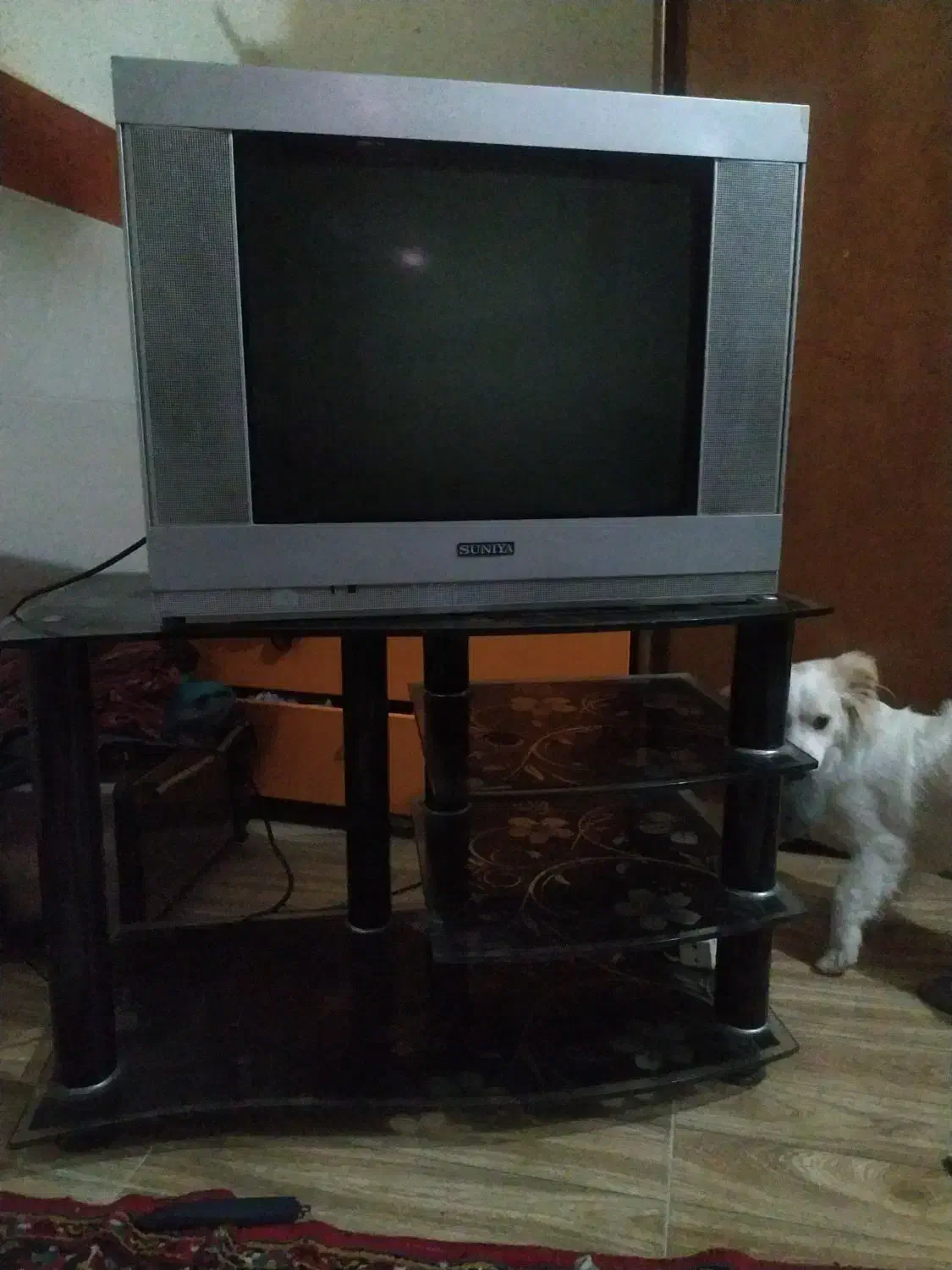 فروش تلویزیون و دیجیتال|تلویزیون و پروژکتور|مسجد سلیمان, |دیوار