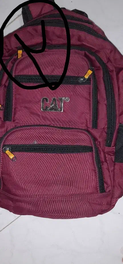 کیف مدرسه|کیف، کفش، کمربند|مراغه, |دیوار