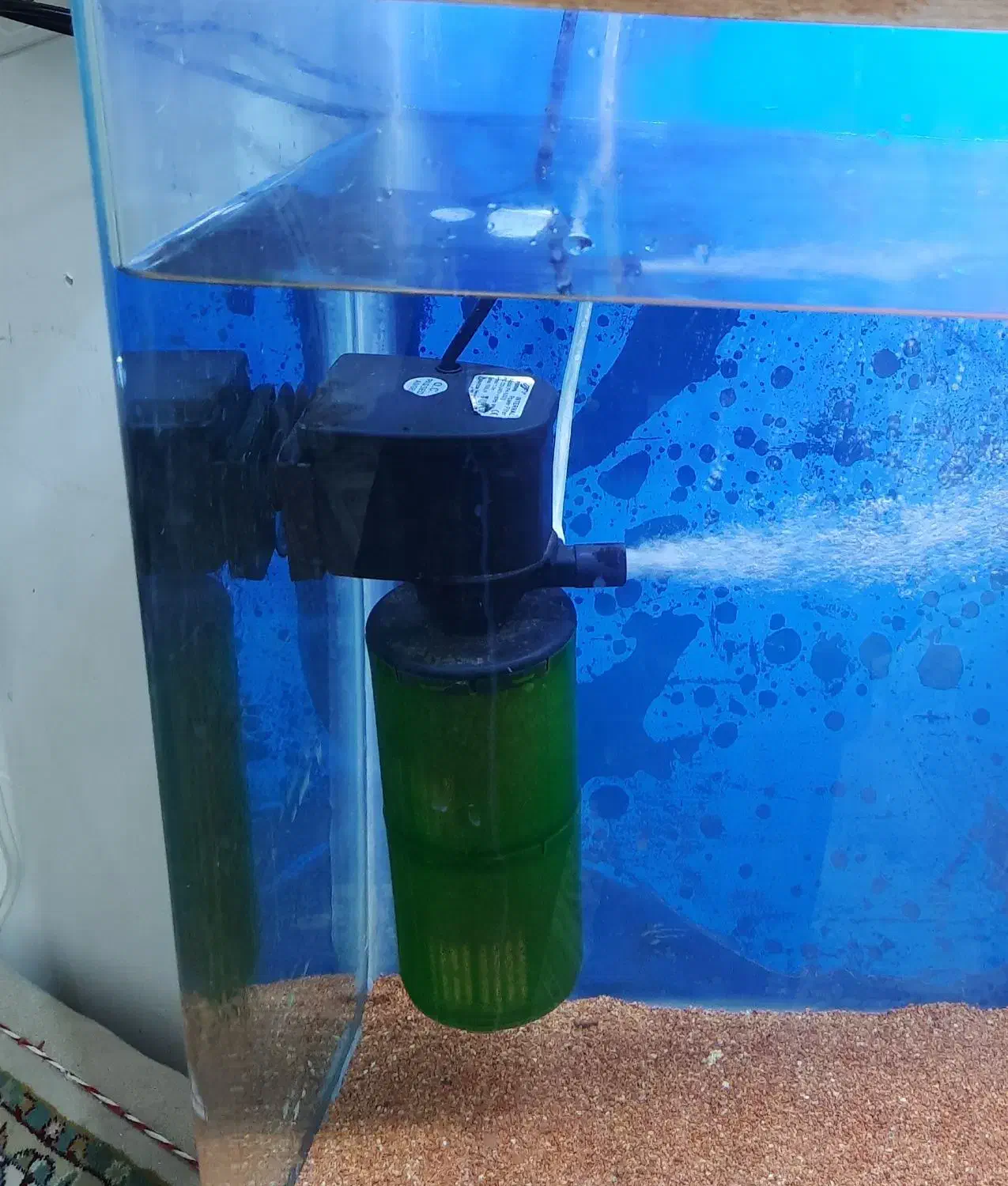 آکواریم|ماهی|سرپل ذهاب, |دیوار