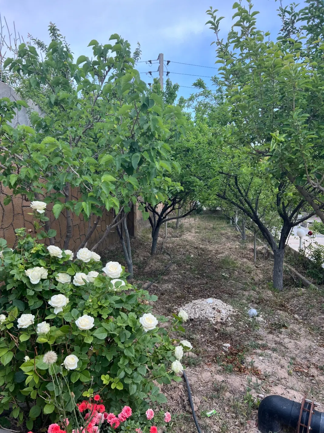تصویر 17