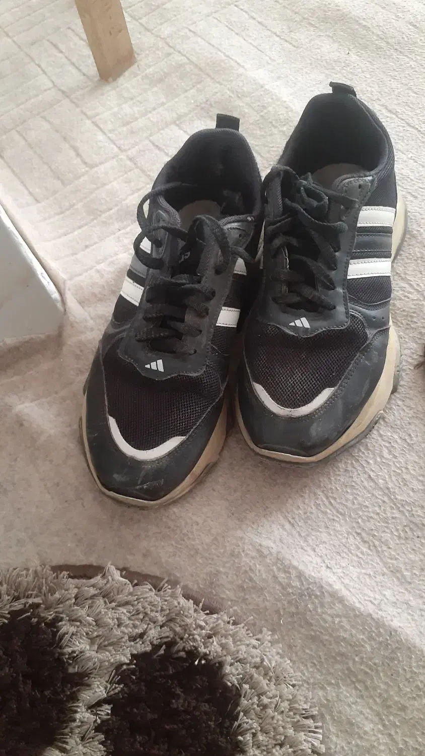 کفش کتونی  سفید|کیف، کفش، کمربند|گنبد کاووس, |دیوار