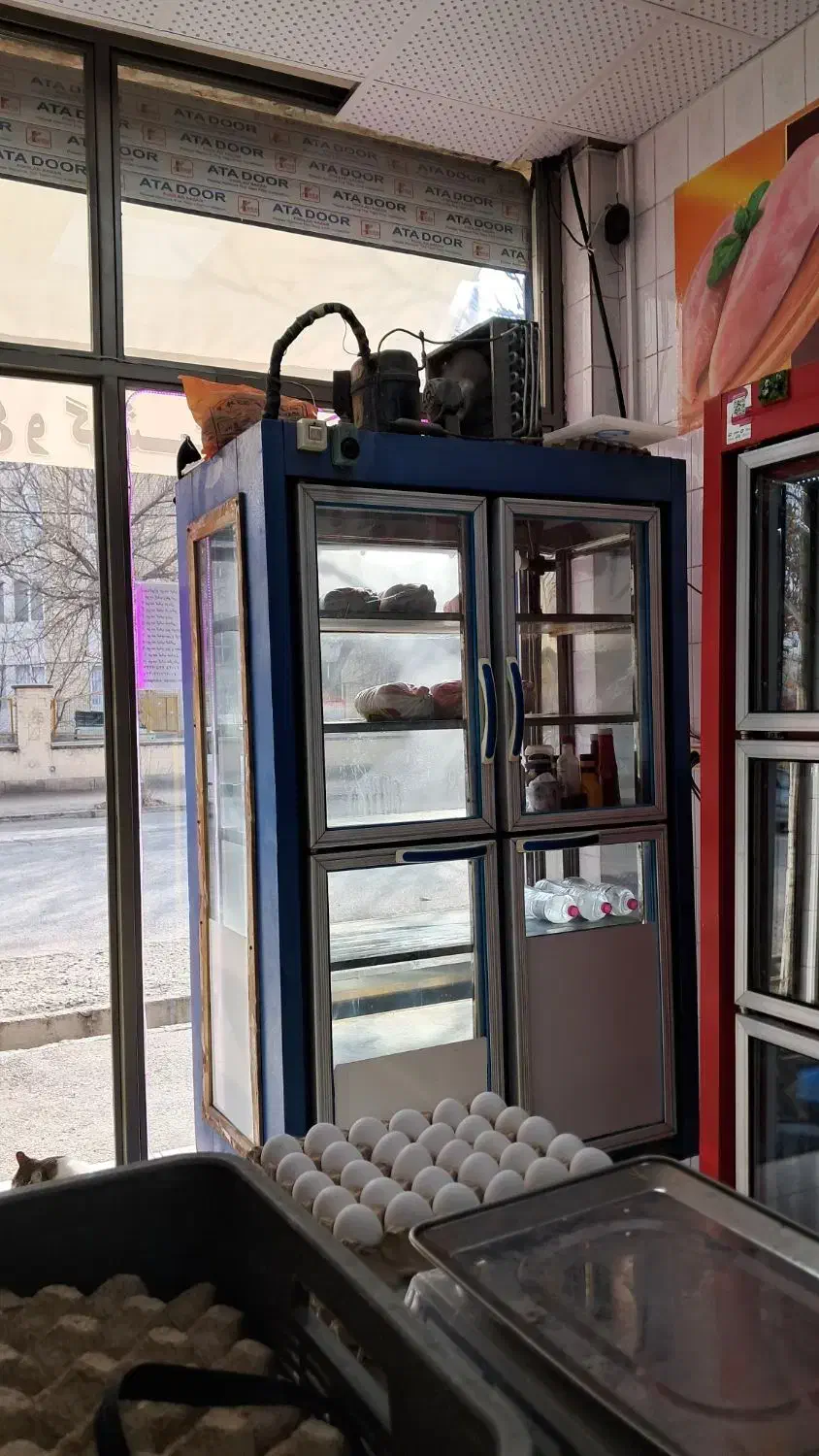 یخچال ویترینی انجمادی|یخچال و فریزر|اردبیل, |دیوار