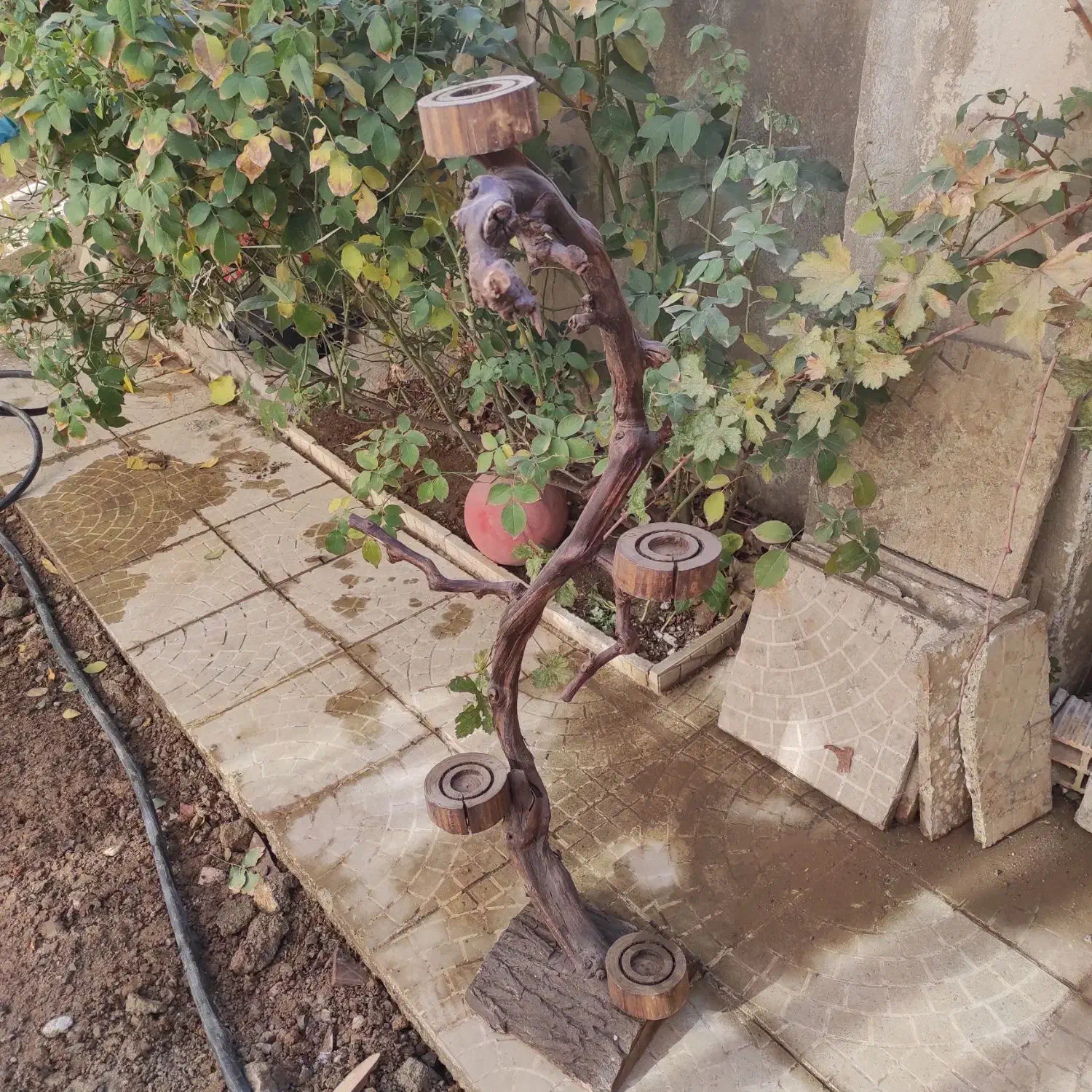 جا شمعی چوبی خیلی شیک|صنایع دستی و سایر لوازم تزئینی|بانه, |دیوار