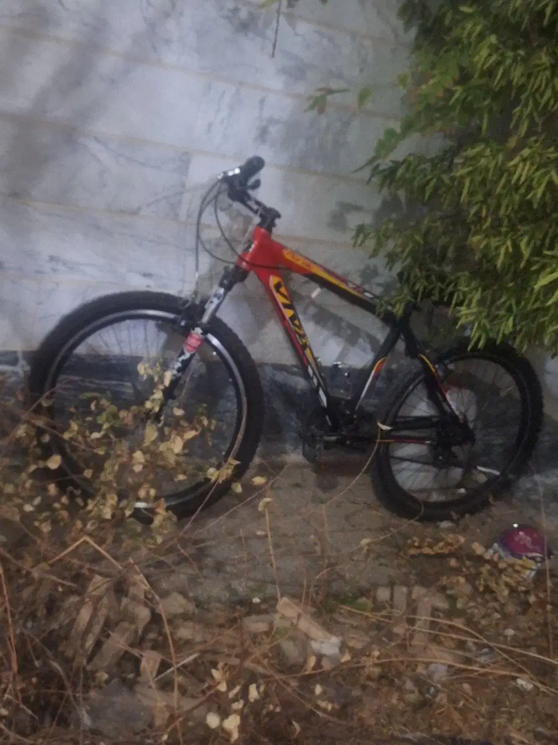 دوچرخه|دوچرخه، اسکیت، اسکوتر|بروجرد, |دیوار