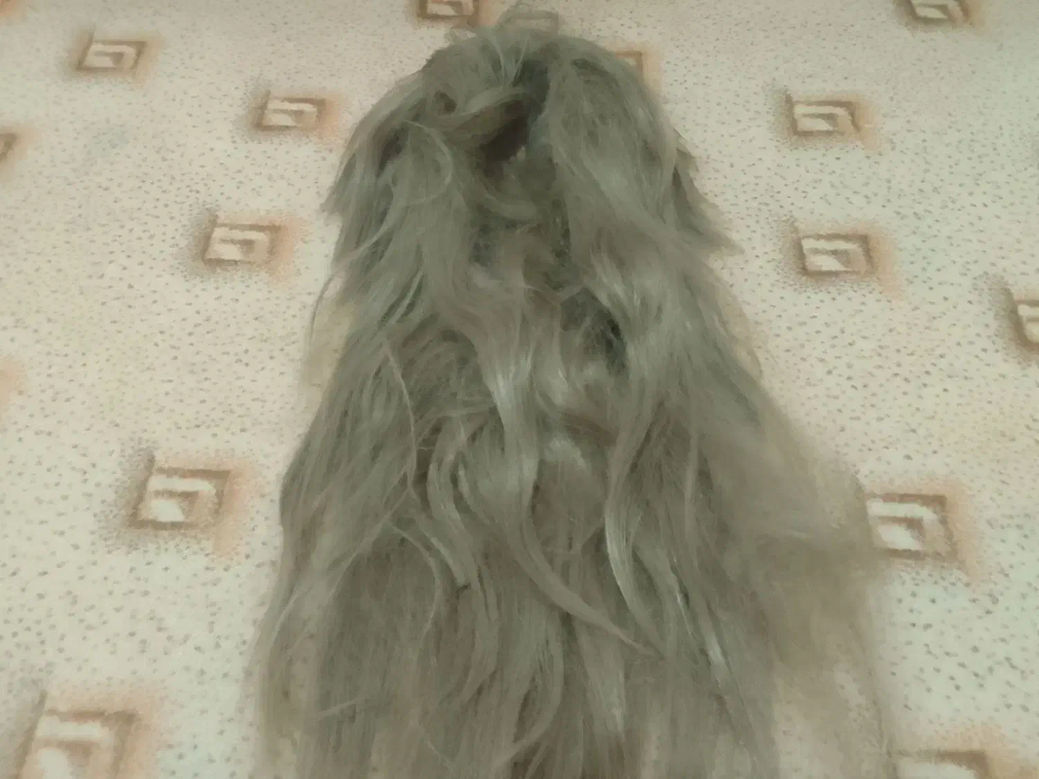 کلاه گیس جنس خوب ودرجه یک باقیمت بسیارمناسب|آرایشی، بهداشتی، درمانی|آزادشهر, |دیوار